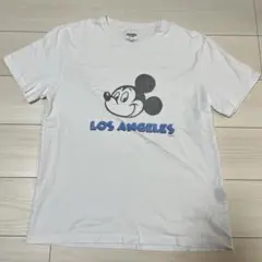 Item thumbnail for item 2e584b21-8e67-43d1-91f2-0317081ea78d