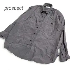 ✨️prospect✨️　ヴィンテージ　絹100%　長袖シャツ　無地　グレー系