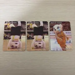 サンディー カード 3枚セット