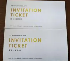 匿名配送　VTホールディングス　株主優待券　2冊　キーパーLABO
