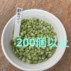 多肉植物　新玉つづり　葉挿し 200個以上