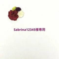 洗える ベビー袴 お食い初め 100日祝い 赤ちゃん 着物 沖縄 紅型 