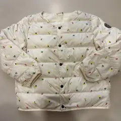インセクトコレクション ライトダウン