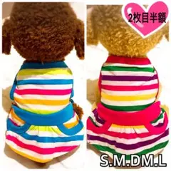 犬服 猫服 ペット服 春夏秋 シンプルボーダーＴシャツワンピ ブルー系:S