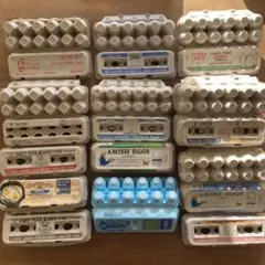 Item thumbnail for item 8d7fe542-1437-465f-bed7-2afb53bf5968