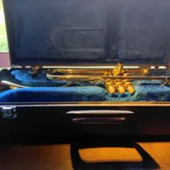 Item thumbnail for item 5b514e9d-4c37-42f5-a82a-84ab12fe222a