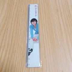 히로세 료코의 선 그리기 15cm