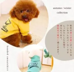 犬 服 パーカー 小型犬 かわいい 犬の服 秋冬 アウター 裏起毛 防寒 長袖
