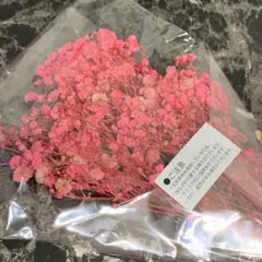 ドライフラワー　かすみ草　650円