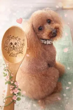 うちの子イラストスプーン☆誕生日プレゼント☆ペットグッズ☆名入れ記念日犬猫うさぎ