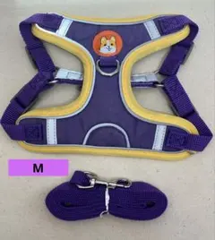 Item thumbnail for item 2d956fa0-5392-42b9-bec8-d5ab6cc58bd1