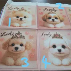 Item thumbnail for item 27eb797e-5cbf-4b25-b072-209ae8f61d78