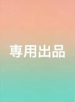 専用出品　5/10お取り置き