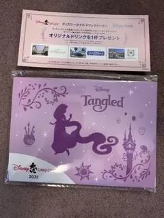 ディズニーJCBカード　サンクスギフト　2025【おまけ付】