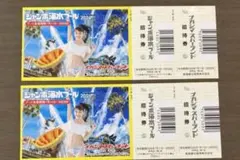 ナガシマジャンボ海水プール 入場券 大人5枚セット - メルカリ