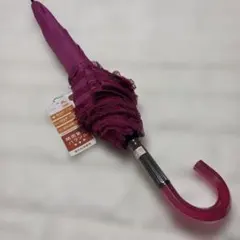 Item thumbnail for item ef36b49c-3219-4fcb-9a03-460a734756f3