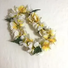 頭　レイ　約30センチ