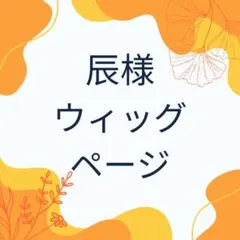 辰様ウィッグ専用ページ