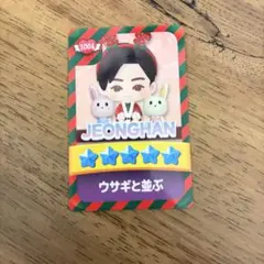 SEVENTEEN NEW FC限定 パズチ カード ジョンハン