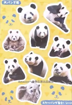 2026年最新】チーザイ パンダの人気アイテム - メルカリ