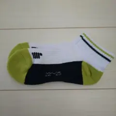 Item thumbnail for item 5e4f6913-73e3-4c32-83da-2eefb21162f5