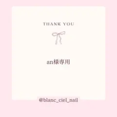 an様専用ページ　ネイルパーツ
