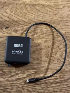 2026年最新】korg plugkeyの人気アイテム - メルカリ