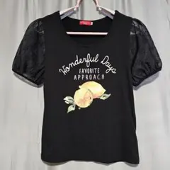 アースミュージックアンドエコロジー　シアー　パフスリーブ　半袖カットソー　レモン