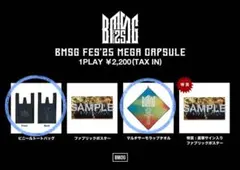 BMSG FES'25 ビニールトートバッグとマルチサーモラップタオル