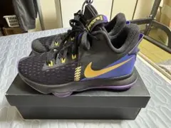 NIKE LEBRON WITNESS 5 バスケットボールシューズ 25cm