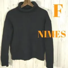 ニーム タートル