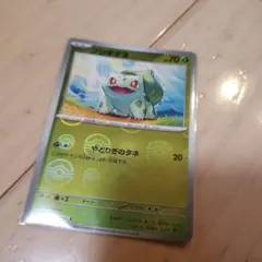 2026年最新】ポケモンカード フシギダネ マスターボールの人気アイテム