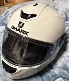 Item thumbnail for item 897dcafc-4a7a-4a5d-bb9a-082366974a07