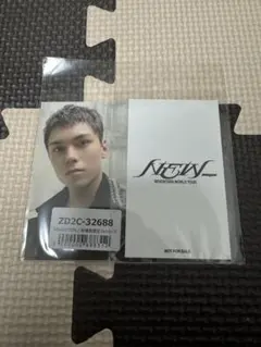 SEVENTEEN セブチ NEW_ 会場限定 トレカ ユニバ バーノン