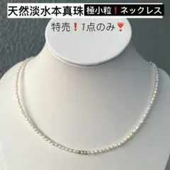 2026年最新】ベビーパール ネックレス 2.5の人気アイテム - メルカリ