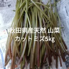 秋田県産天然 山菜 カットミズ5㎏ - メルカリ