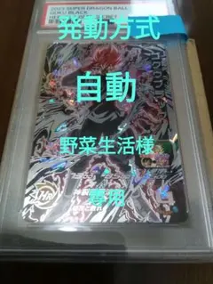 2025年最新】ドラゴンボールヒーローズ ugm7-sec3 ゴクウ