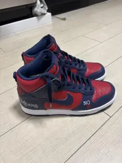 極美品 Nike supreme dunk high by any means