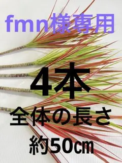 専用.:*★レインボー2本、ホワイボリー2本セット