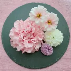 ピーチピンクダリアに白とラベンダーのピンポンマムとピンクのジニアの髪飾り