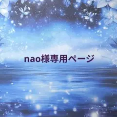 nao様 リクエスト 2点 まとめ商品