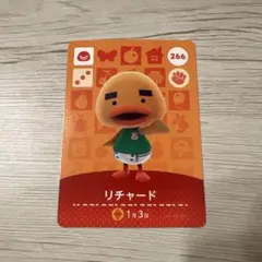 アミーボカード　リチャード　あつ森