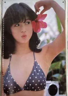 中森明菜ブリキ看板