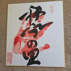 早すぎた名横綱、第51代横綱 玉乃海の大関、玉乃島の時代 サイン手形