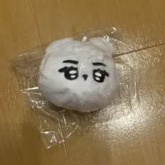 SEVENTEEN♡セブチ バーノン ぬいぐるみ ドール