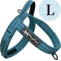 Item thumbnail for item 43d1e48f-37b6-4c33-9d16-c82411678efe