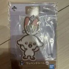 ポケピース ポケモンくじ ワッペンチャーム
