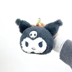 クロミパスケース