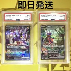 【PSA10】ミライドンex SAR コライドンex SAR 即日発送
