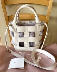 DIANA ダイアナ　カゴ、ファー　2wayバック